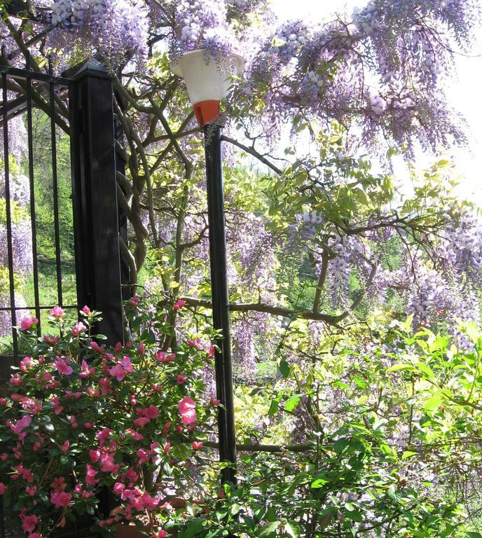 B&B I Glicini Vescina Exteriör bild