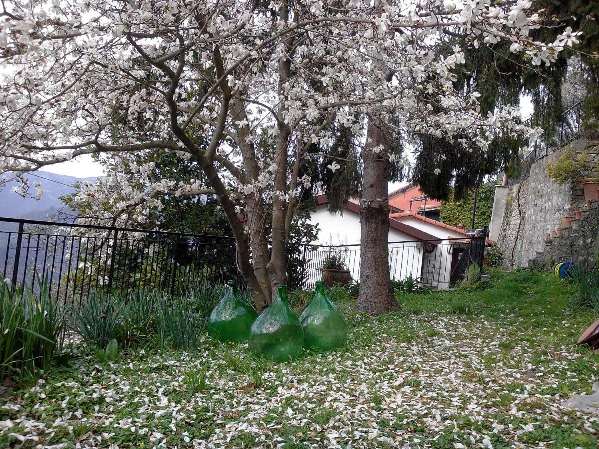 B&B I Glicini Vescina Exteriör bild